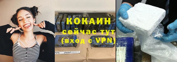 шишки Медногорск