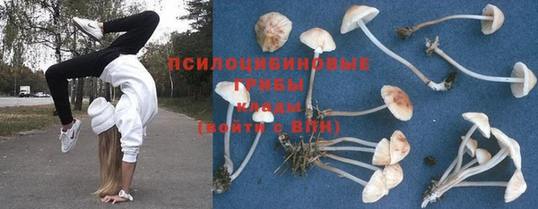 шишки Медногорск