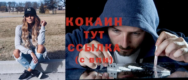 шишки Медногорск