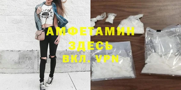 шишки Медногорск