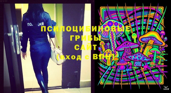 apvp Медвежьегорск