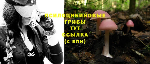 трава Мегион